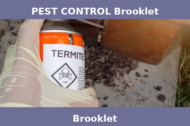 PEST CONTROL Brooklet